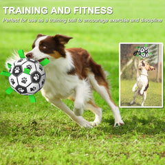 Amasiver dog ball in tug action with long rope for pulling.