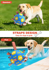 Amasiver interactive dog ball triggers tossing and tug activities during games.