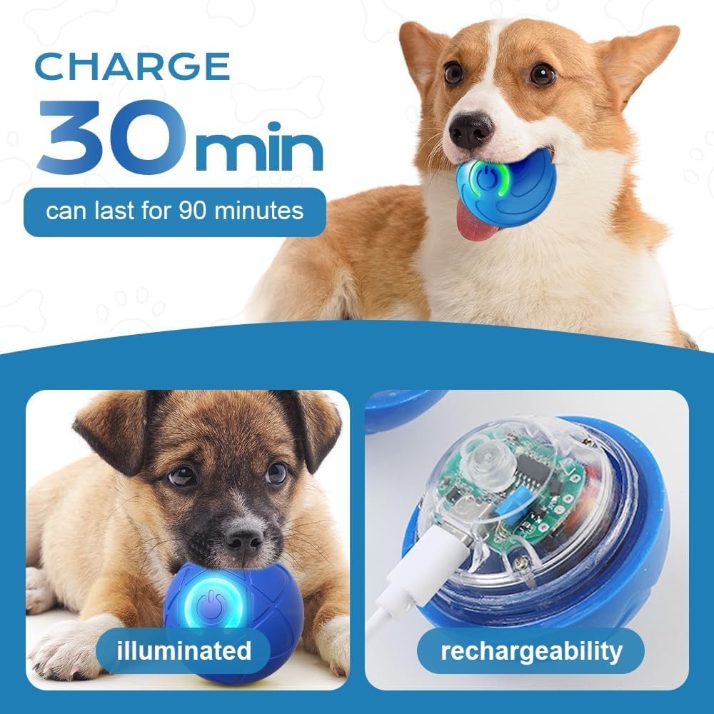 AMATFFUG LED night-light on the dog ball aids night-time play.