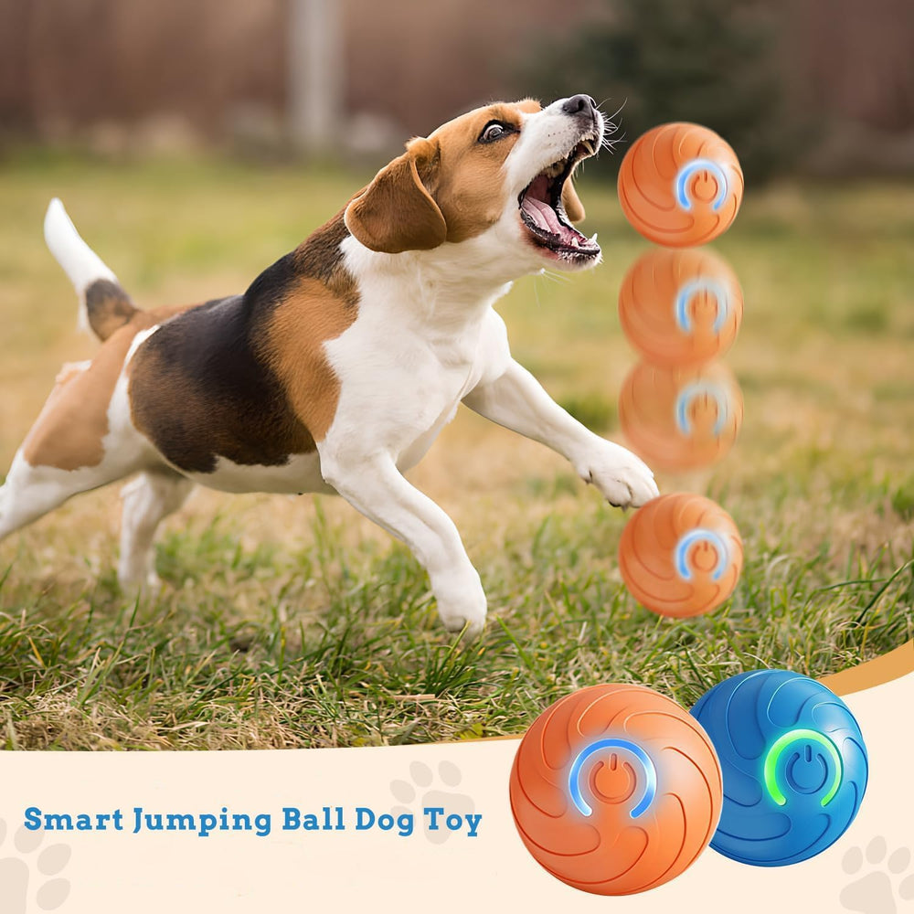 AMATFFUG Two-pack option provides versatile play for multiple dogs.