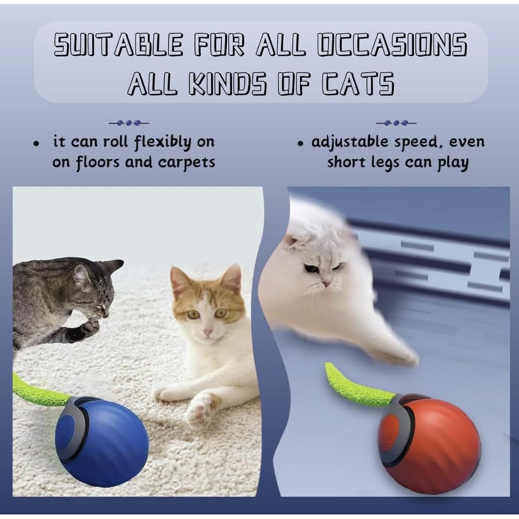 AMATFFUG Speediest Tail 2.0 cat toy ball kitten-friendly with slow-start mode