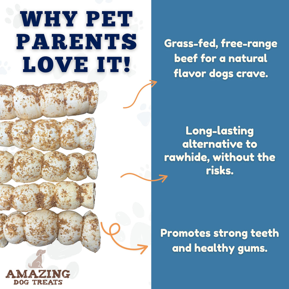 Amazing Dog Treats Beef Cheek Rolls Mega Thick rawhide alternative in action for power chewers.