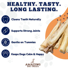 Amazing Dog Treats collagen stick dental-health close-up highlights teeth-friendly benefits