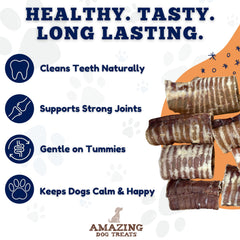 Amazing Dog Treats dogs enjoying a chew during playtime.