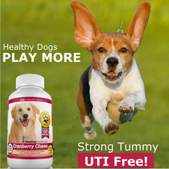 Amazing Nutritionals Amazing Cranberry for Dogs chews bowl scene shows a pet-friendly supplement aiding urinary health.
