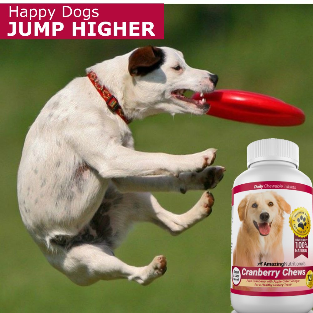 Amazing Nutritionals Amazing Cranberry for Dogs chews serving display highlights a bladder-support formula.
