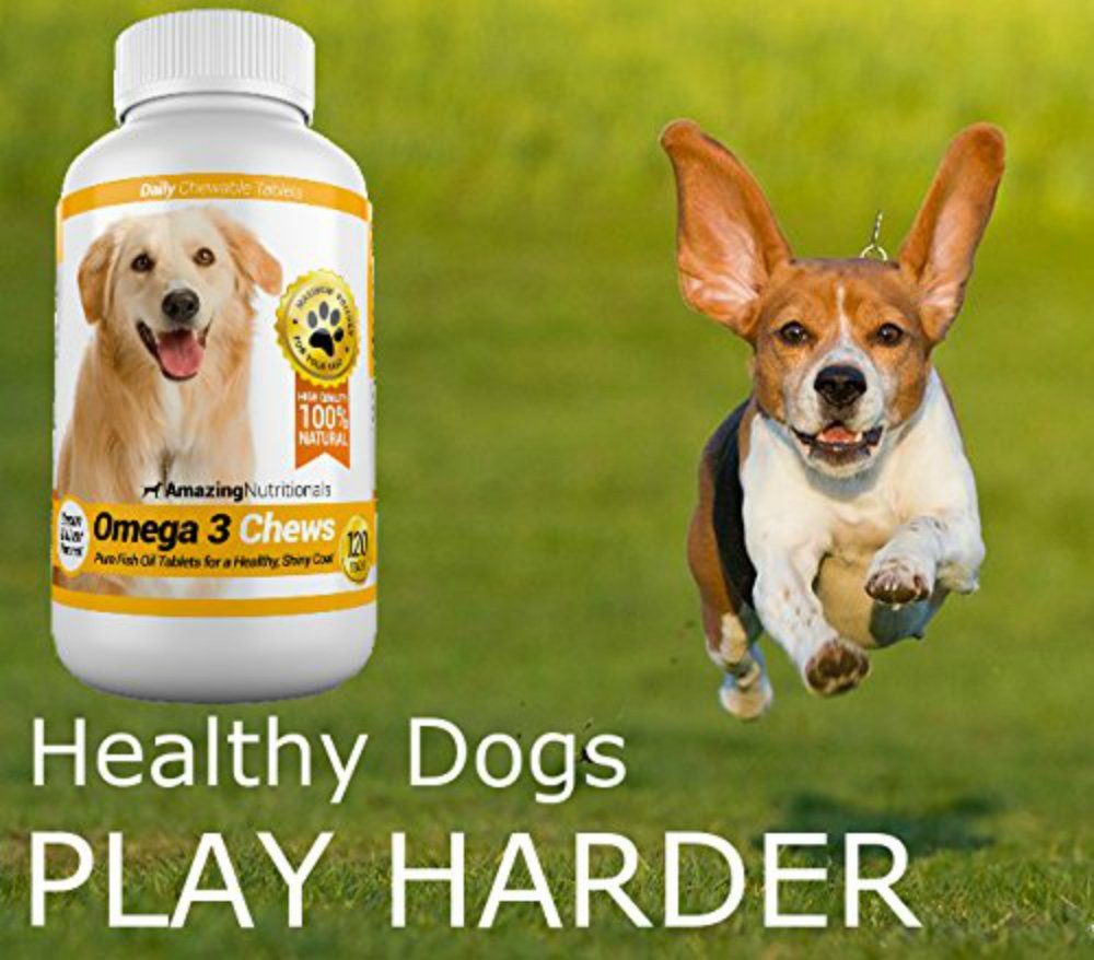 Amazing Nutritionals Amazing Omega 3 bacon chews show a shinier coat and healthier-looking fur.