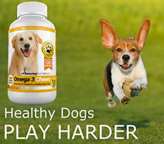 Amazing Nutritionals Amazing Omega 3 bacon chews show a shinier coat and healthier-looking fur.