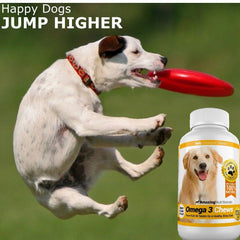 Amazing Nutritionals Amazing Omega 3 for Dogs being chewed by a dog demonstrates easy administration.