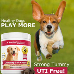 Amazing Nutritionals Cranberry for Dogs ACV-infused chews support urinary health