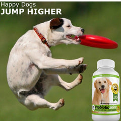Amazing Nutritionals gas relief tablets for dogs shown for quick comfort.