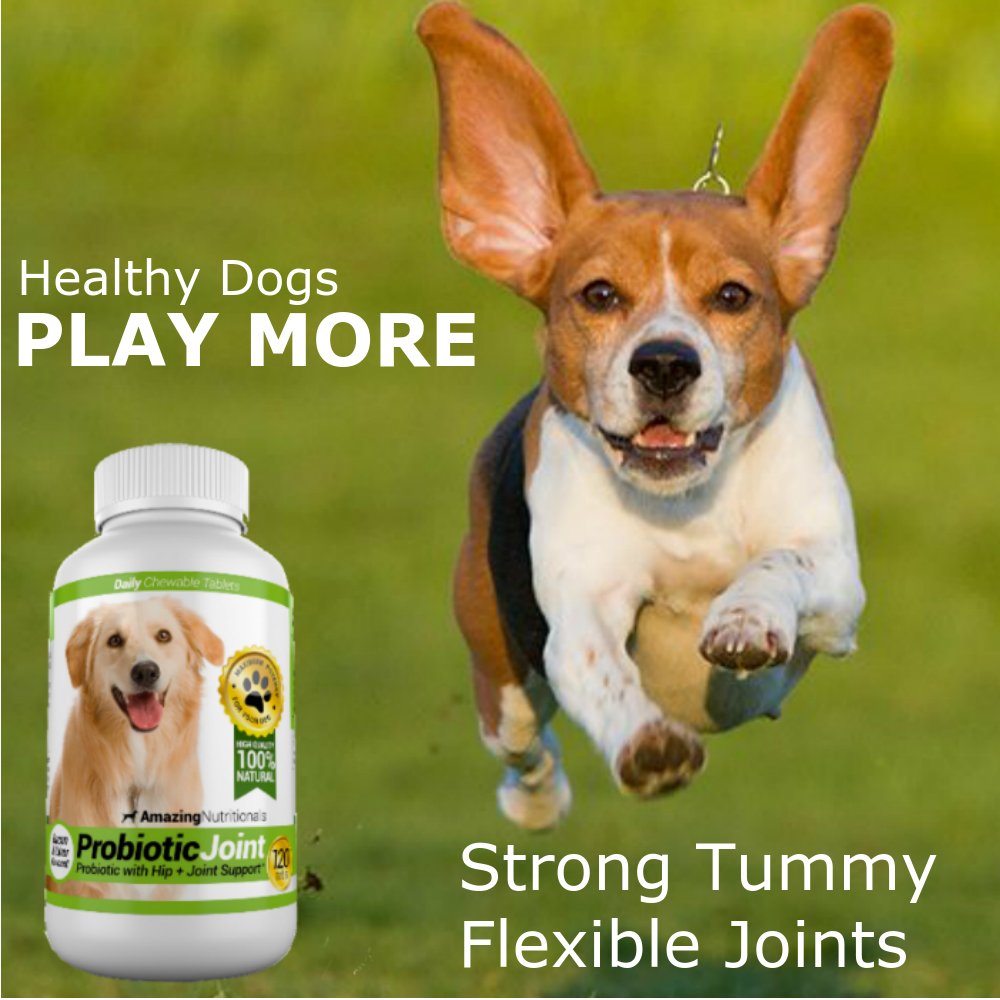 Amazing Nutritionals hip joint chews highlighting mobility support for dogs.