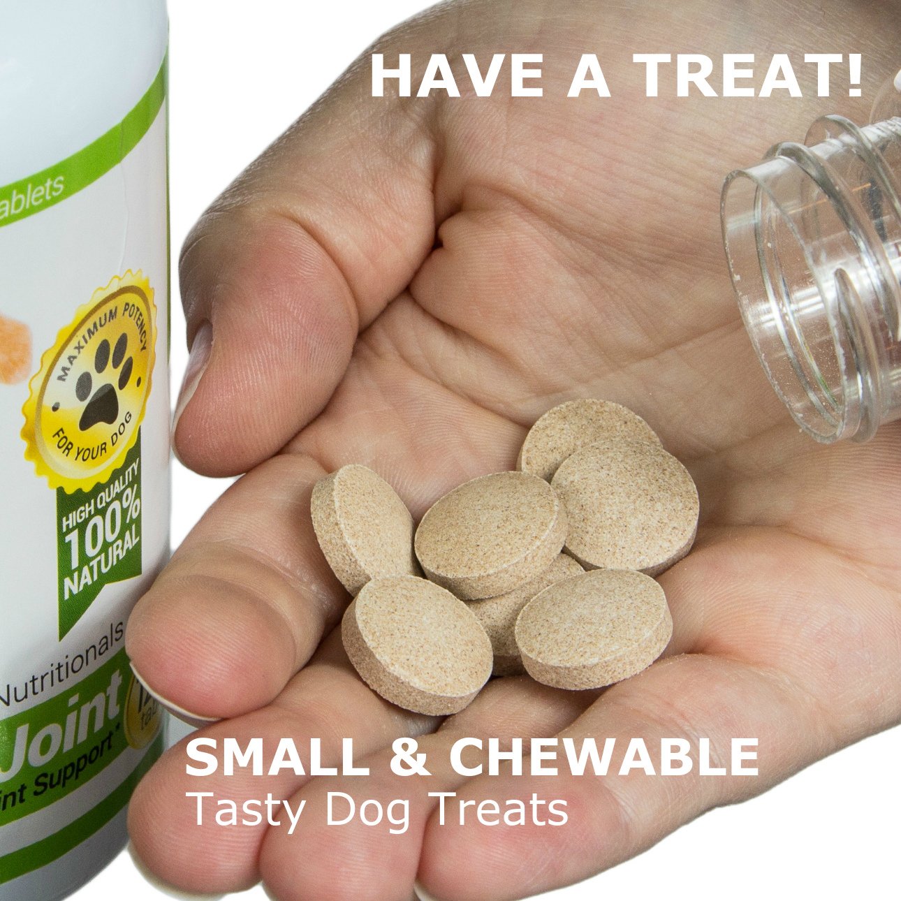 Amazing Nutritionals dosage guide for small dogs on probiotics.
