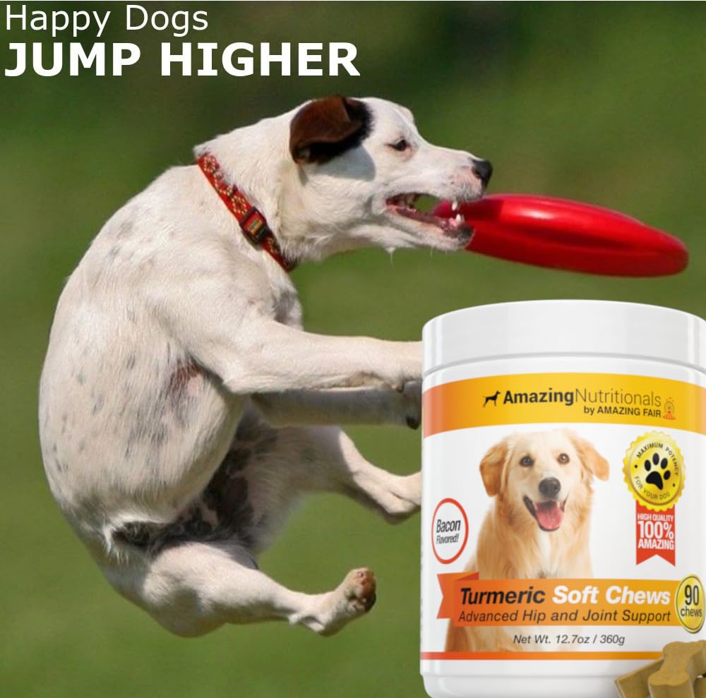 Amazing Nutritionals Turmeric dogs flavored chews showcases bacon-liver taste and antioxidant support potential