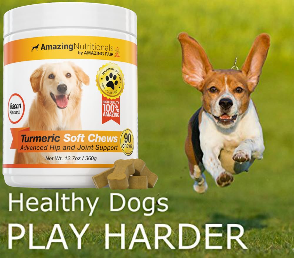 Amazing Nutritionals Turmeric dogs hip-joint support image emphasizes mobility and comfort over time