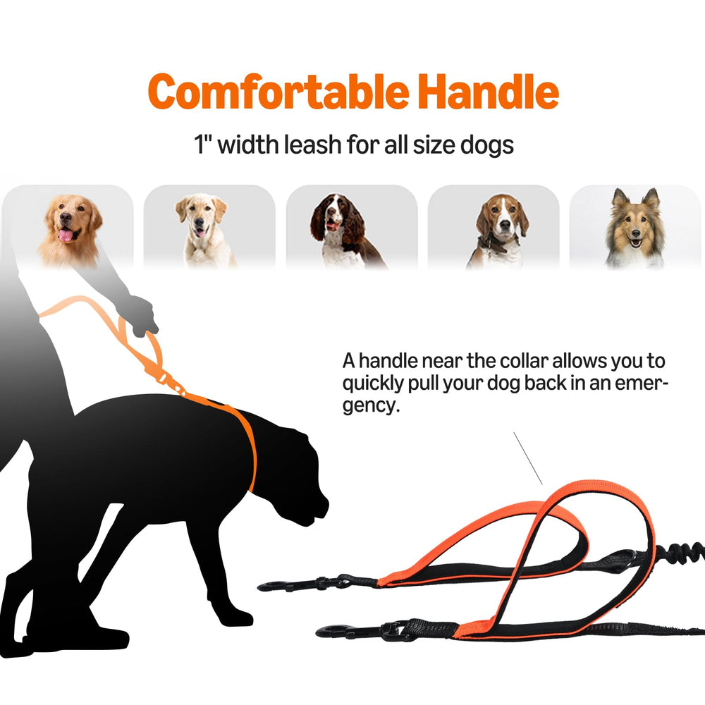 Amazon Basics bungee leash absorbs shocks for comfortable pulls on hikes.