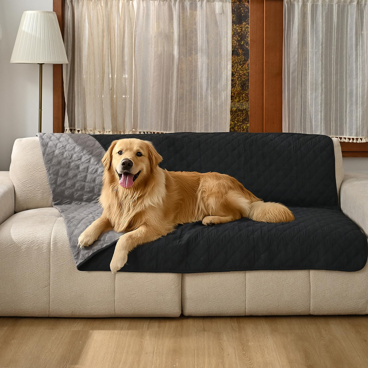 Amazon Basics couch cover on a gray sofa showing soft cushioning for pets