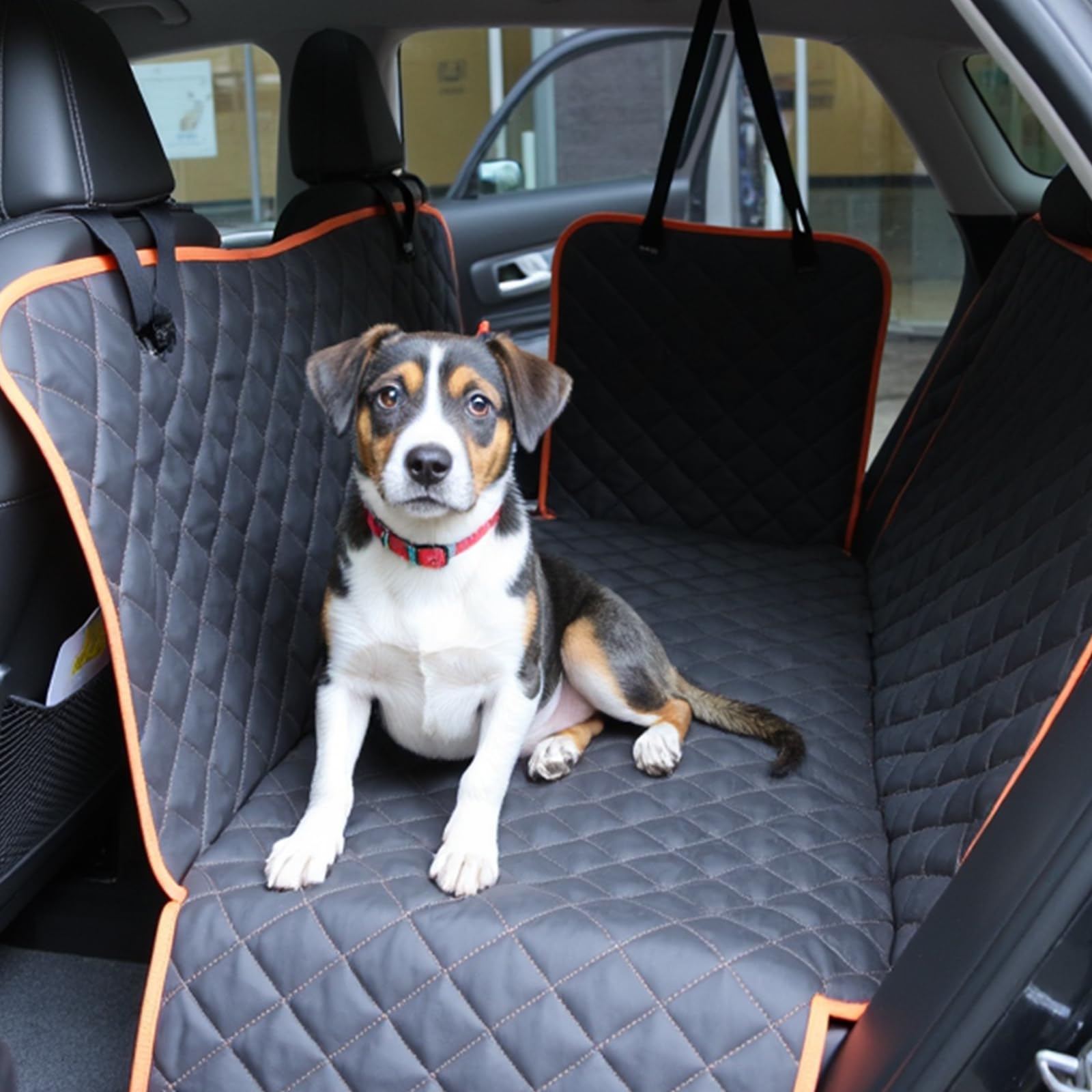 Amazon Basics dog car seat cover demonstrates two installation options for different setups