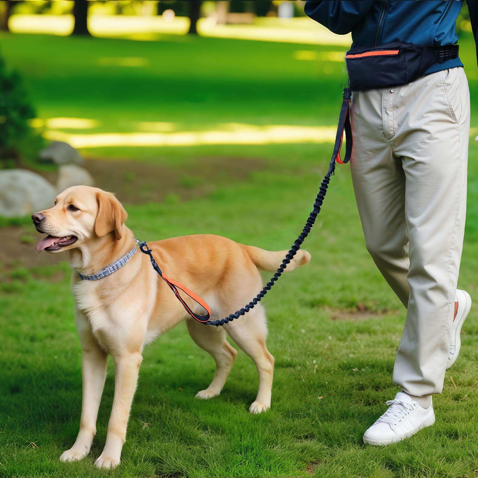 Amazon Basics leash fits small to large dogs up to 150 lbs.