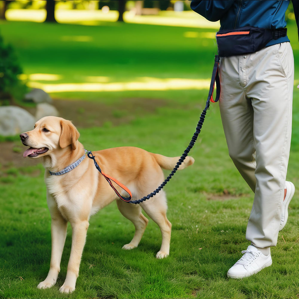 Amazon Basics leash fits small to large dogs up to 150 lbs.