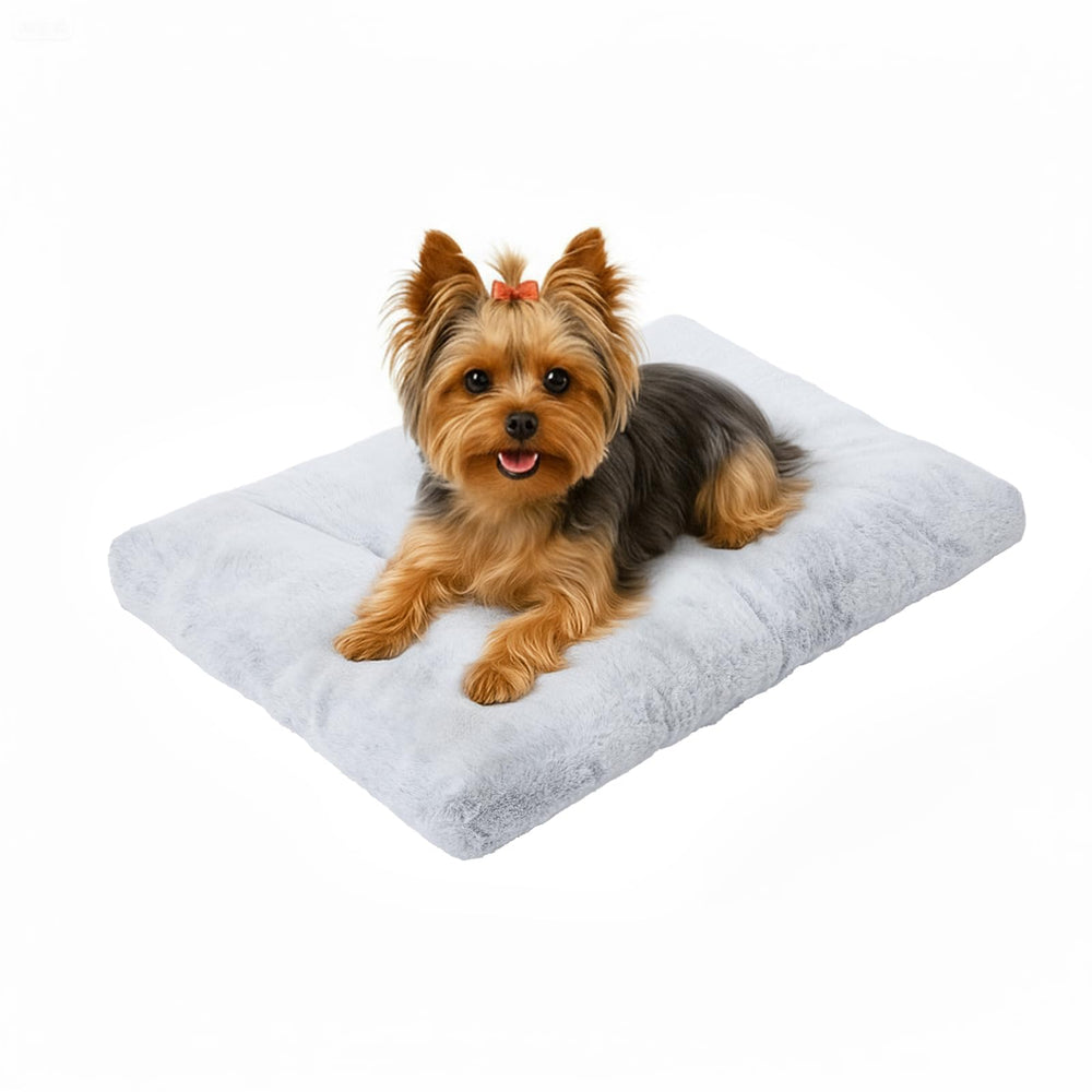Amazon Basics extra-small dog bed for crate fits snugly inside standard kennels.