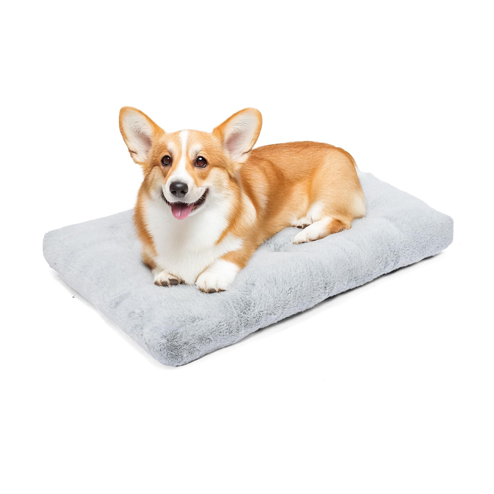 Amazon Basics medium dog bed fits crate for secure resting