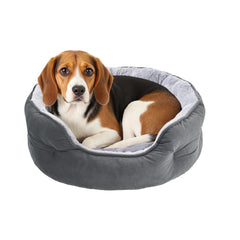 Amazon Basics round dog bed gray front view showing plush surface for medium dogs.