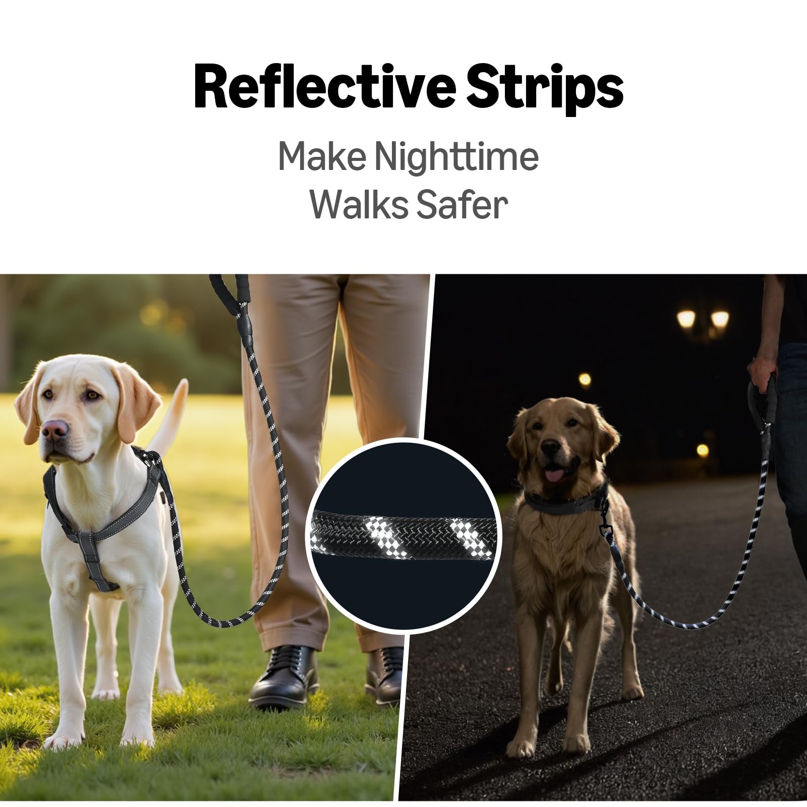 Amazon Basics leash versatile for small to large dogs.