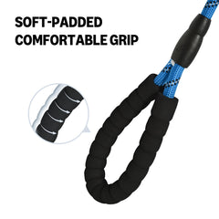 Amazon Basics round dog leash blue 4ft clasp highlights secure attachment