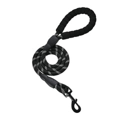 Amazon Basics round dog leash clip shows a secure clasp for safe daily walks.