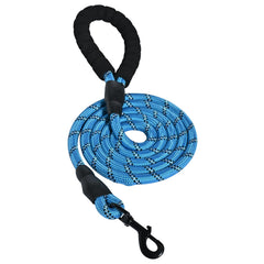 Amazon Basics Round Dog Leash close-up shows durable blue rope for daily walks.