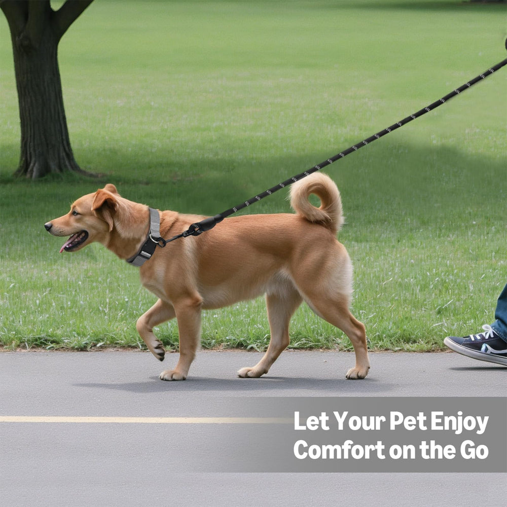 Amazon Basics round dog leash lightweight design demonstrates easy carrying and control