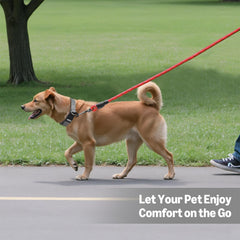 Amazon Basics lightweight leash design for easy carrying and quick storage after walks.