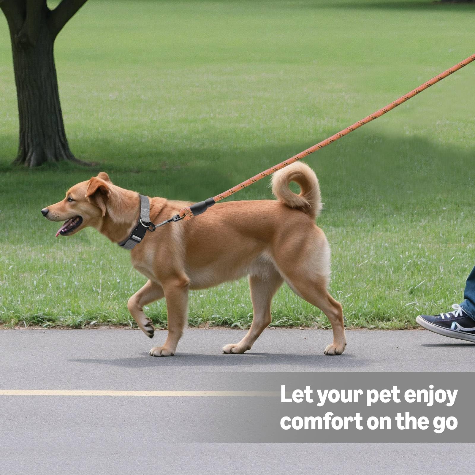 Amazon Basics round dog leash pink is lightweight and easy to carry