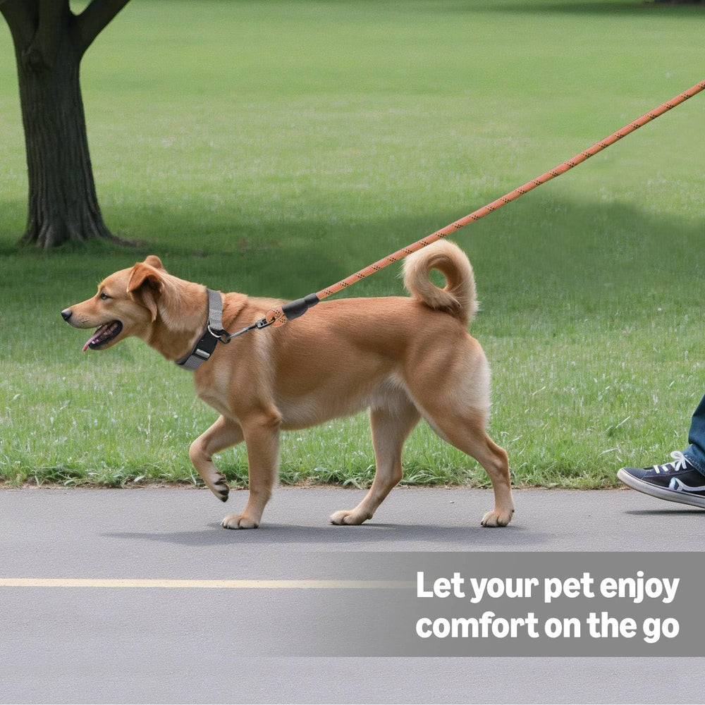 Amazon Basics round dog leash pink is lightweight and easy to carry