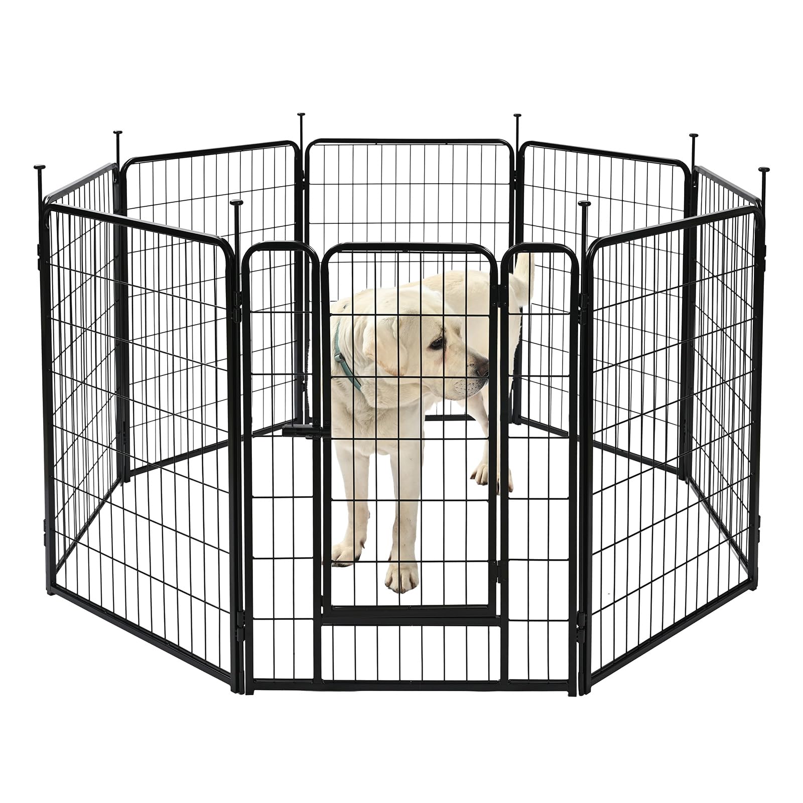 Amazon Basics dog playpen folded for compact storage and easy transport.
