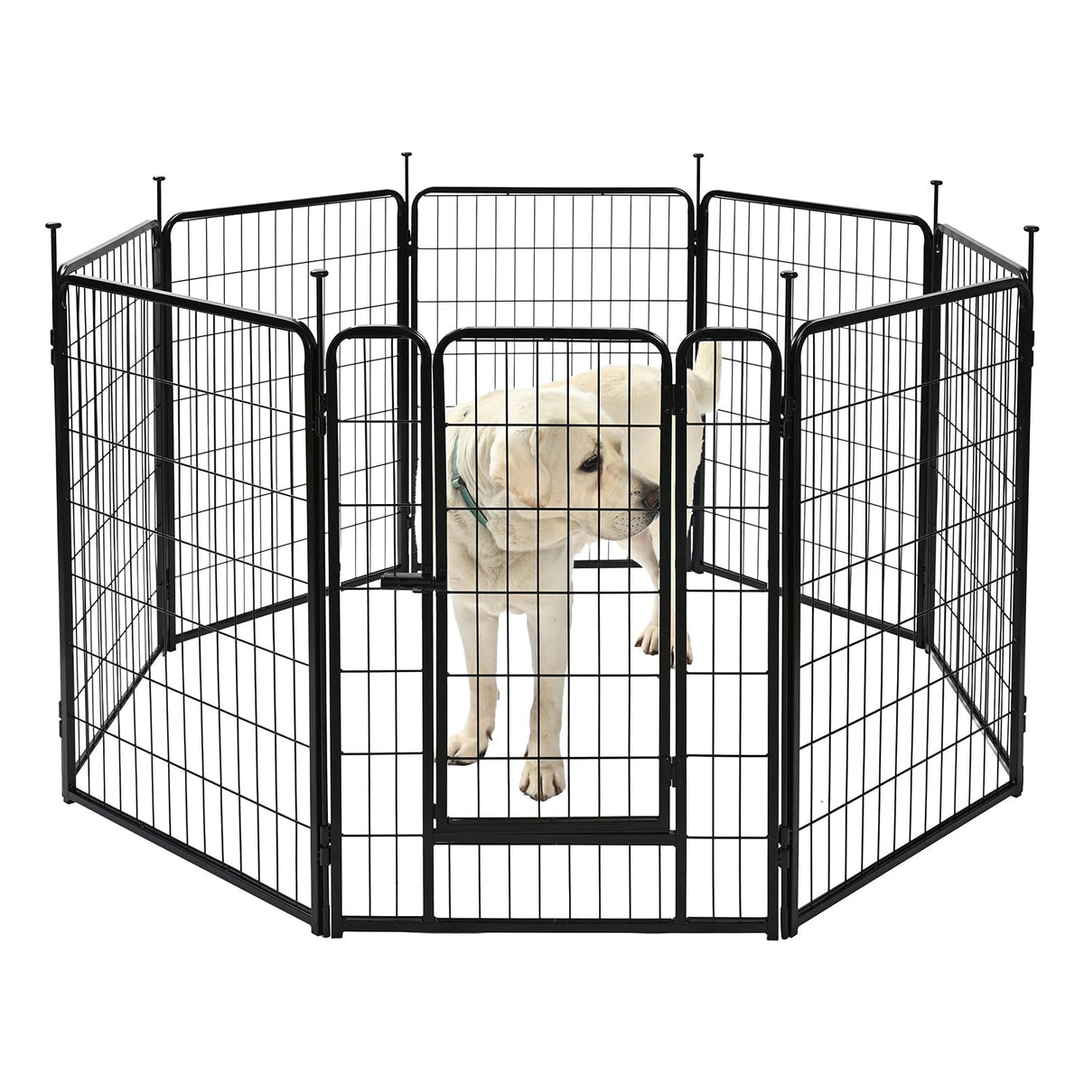 Amazon Basics dog playpen folded for compact storage and easy transport.