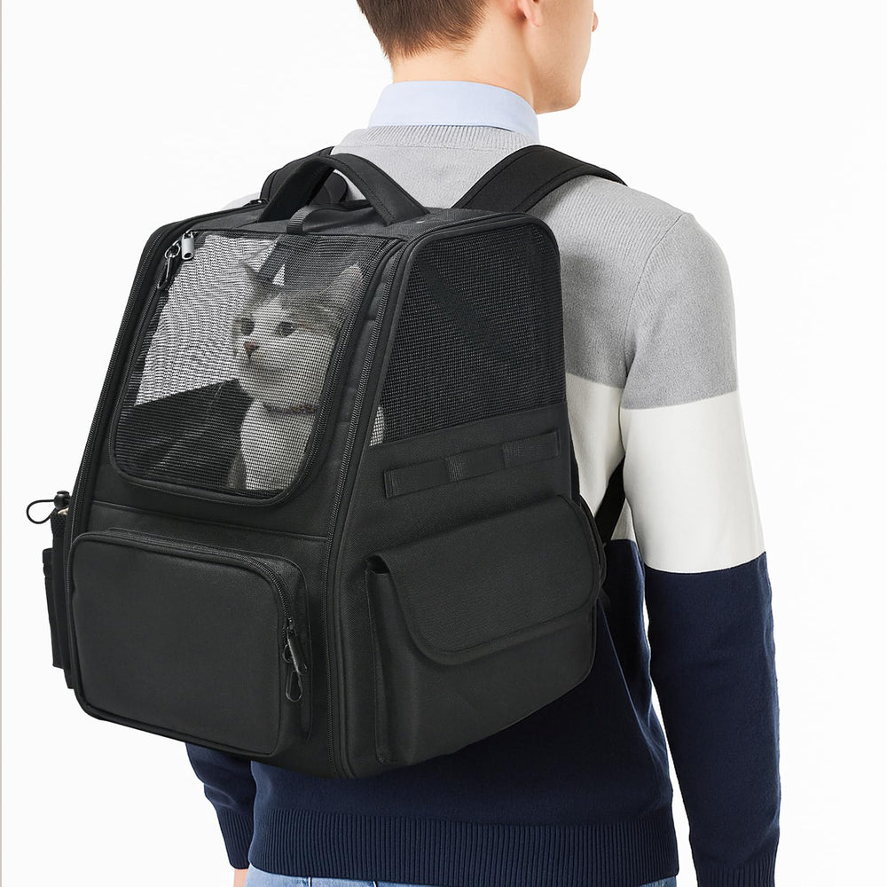 Amazon Basics pet backpack worn on back for hands-free travel.