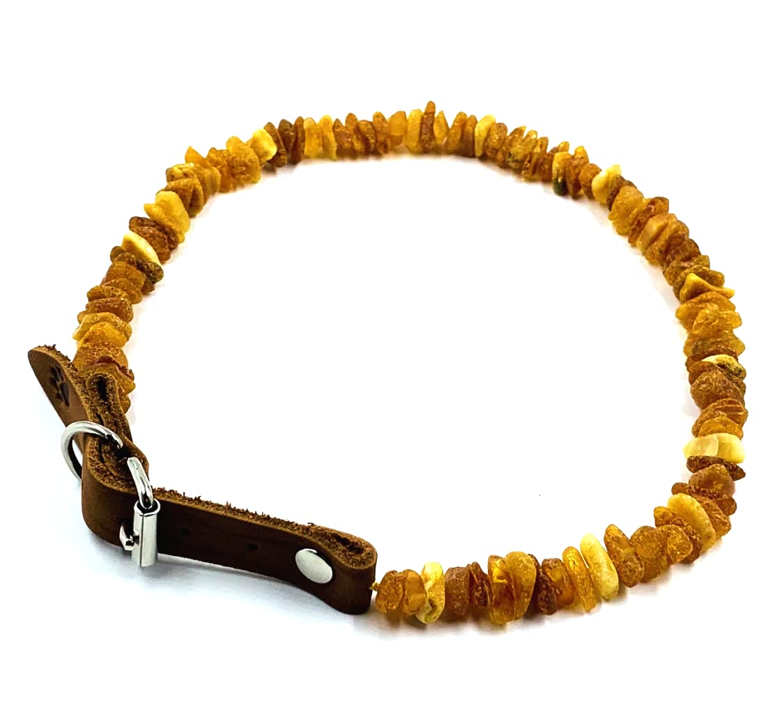 Amber Jewelry Shop amber collar with adjustable leather strap highlights raw Baltic amber beads for daily walks.