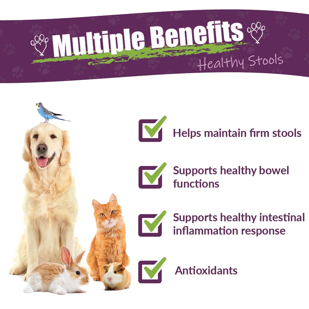 AMBER NATURALZ Kochi Free dropper-tool enables easy dosing for pets.