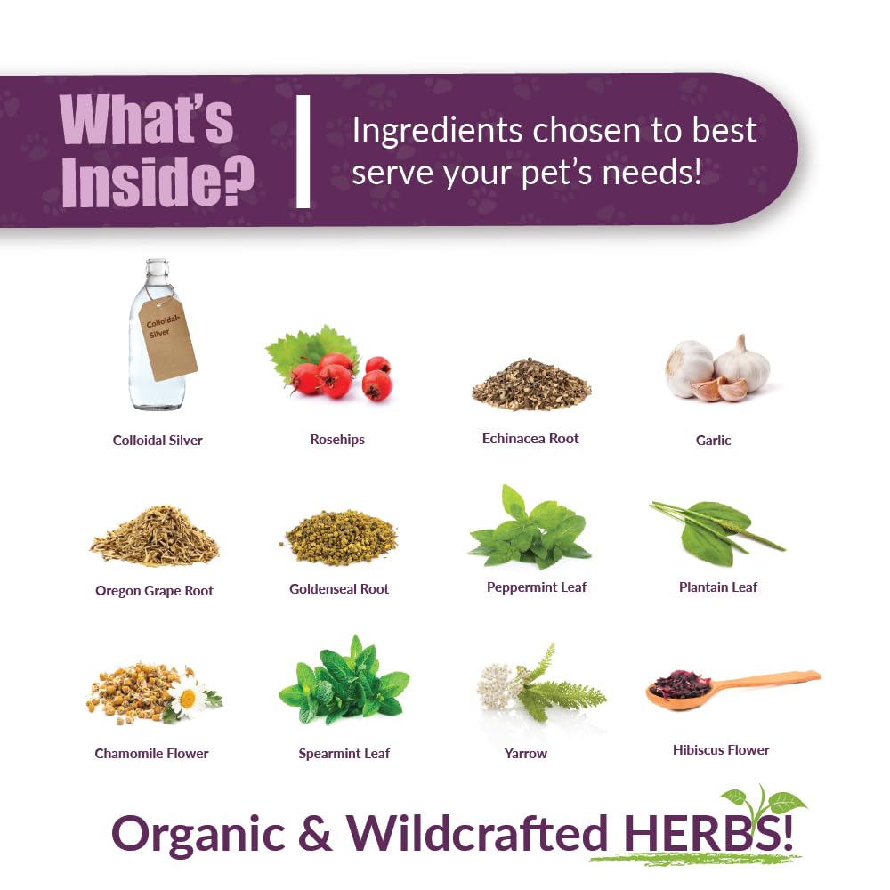 Amber NaturalZ Paxaid bottle with dog and paw prints for occasional gastric upset relief.