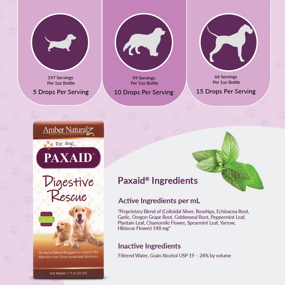Amber NaturalZ Paxaid herbal ingredients spread, suggesting natural gut-support blend.