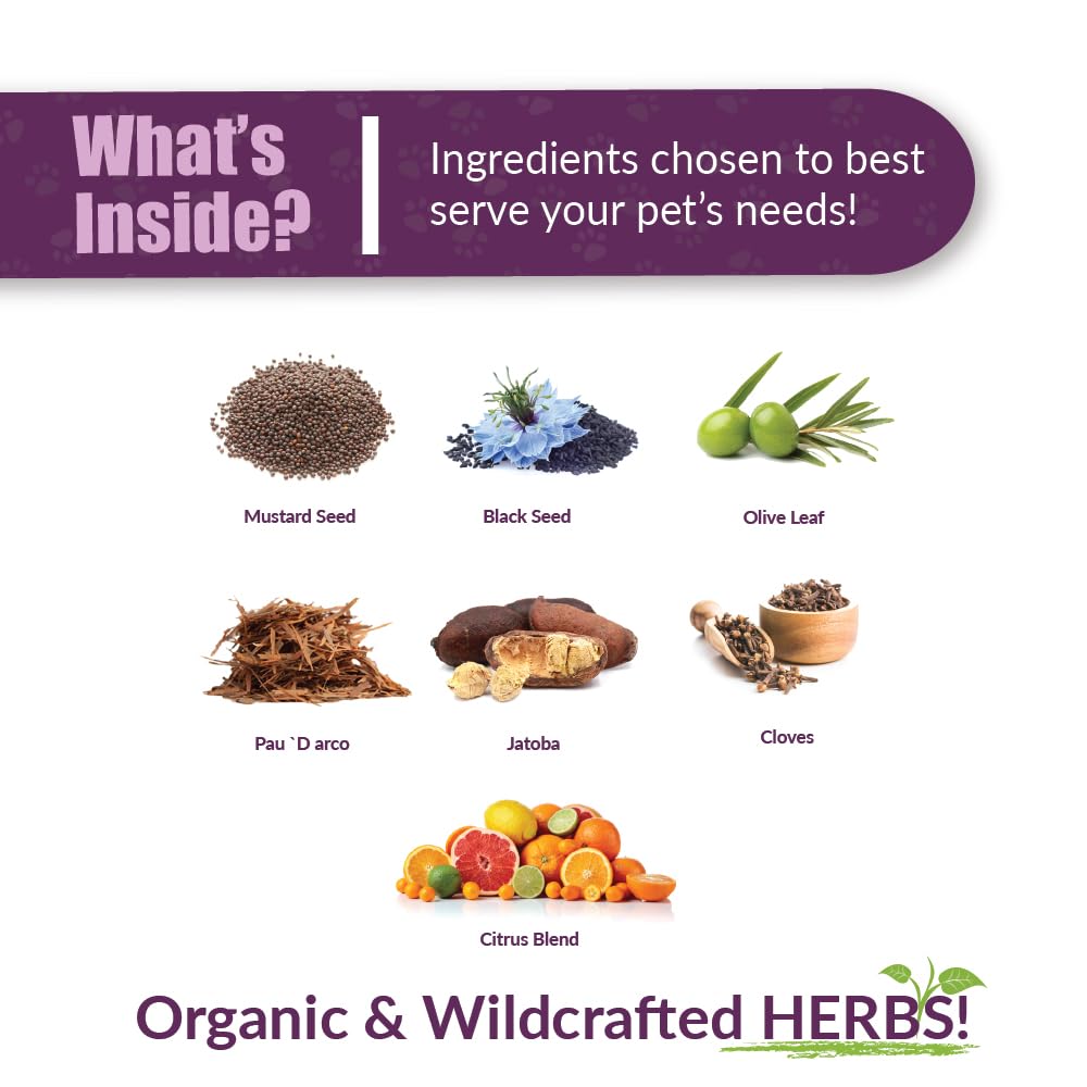 AMBER NATURALZ Reptaid label detail featuring organic herb blend for routine use.