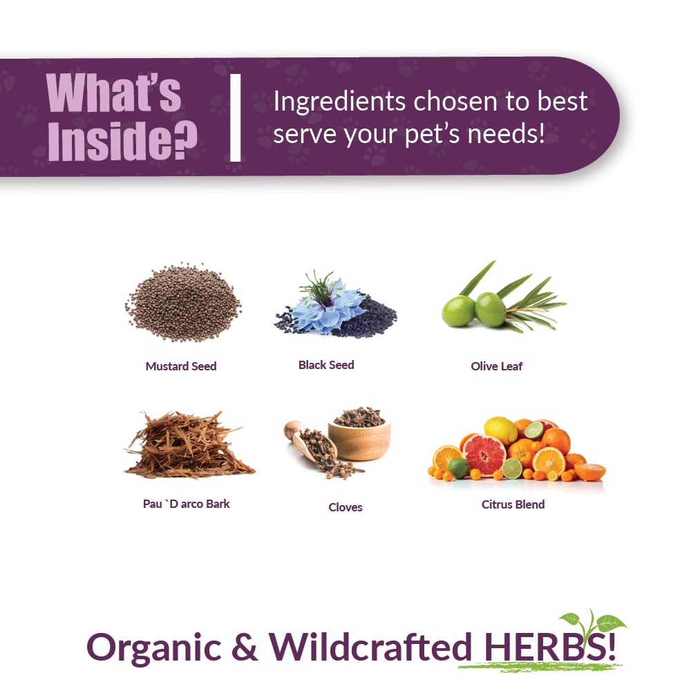 Amber NaturalZ Vibactra herbs close-up showing natural plant ingredients for immune support