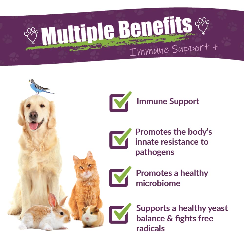 Vibactra Plus dropper usage highlights precise herbal dosing for paws, whiskers, and overall well-being.
