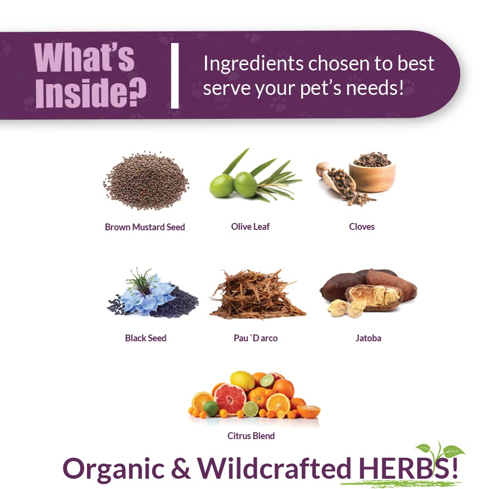 AMBER NATURALZ Vibactra Plus herbal-blend closeup showcases mustard seed, olive leaf, and clove ingredients.