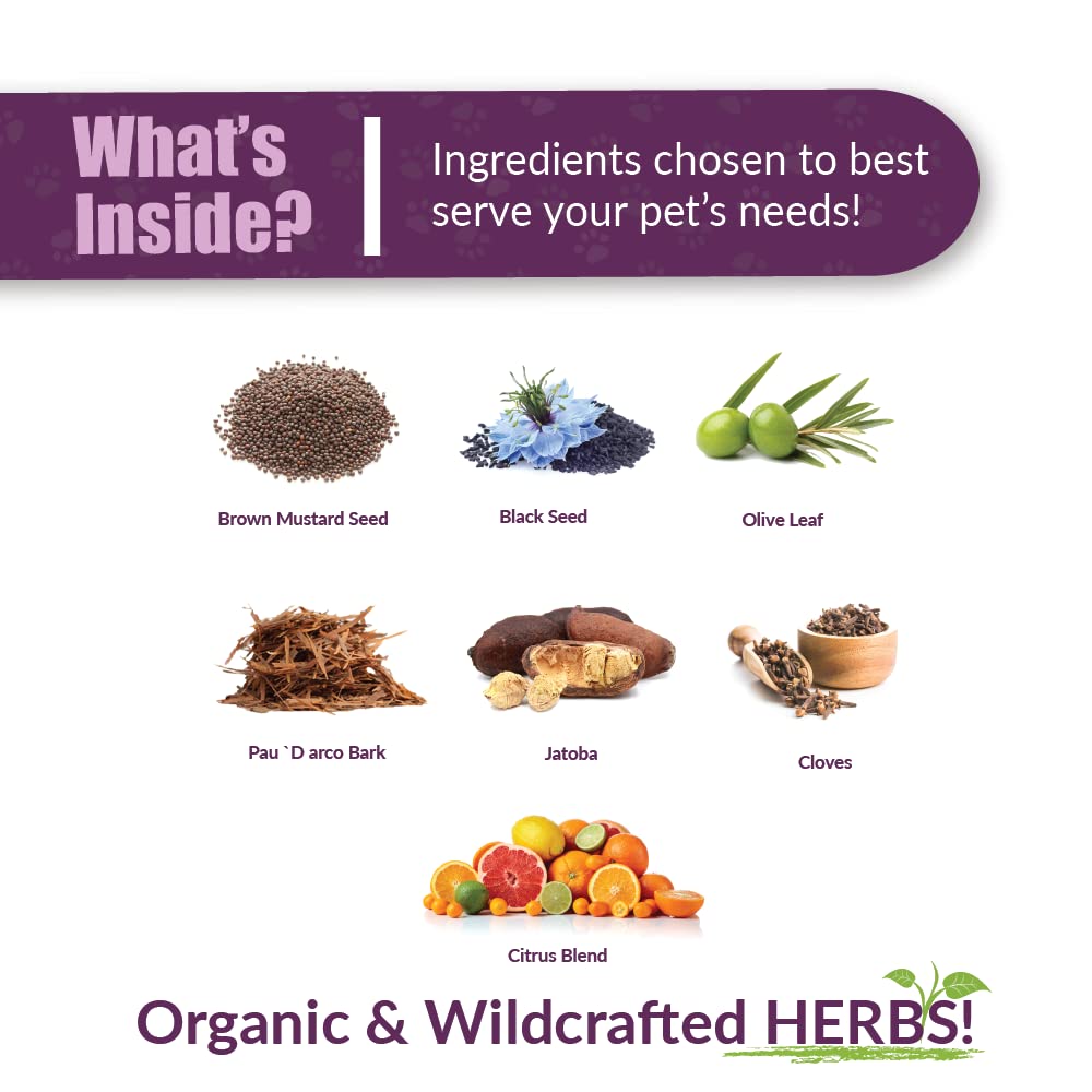 Amber NaturalZ Vibactra Plus herbal blend highlights organic and wildcrafted ingredients
