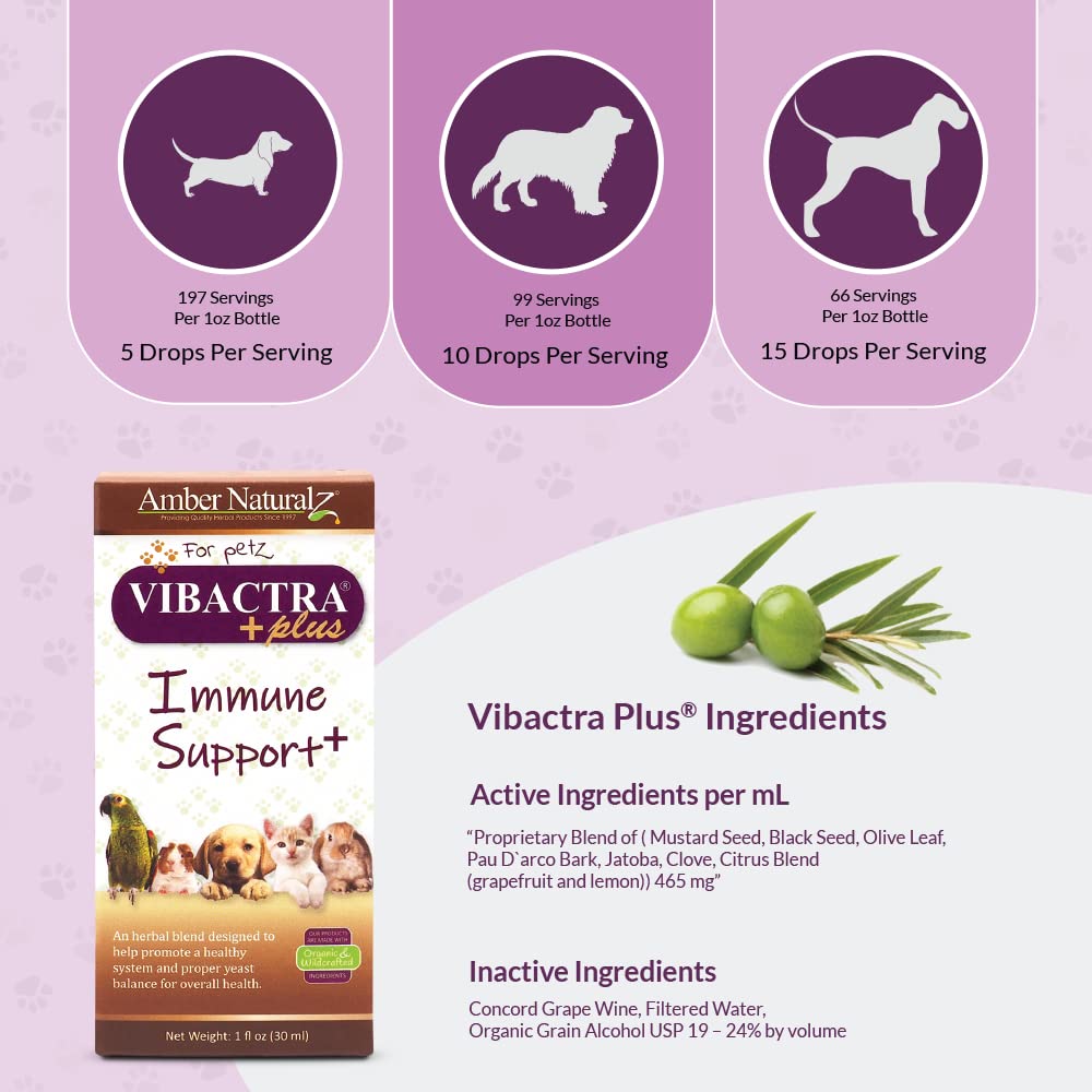 AMBER NATURALZ Vibactra Plus organic and wildcrafted herbs emphasize natural immune support and yeast balance.