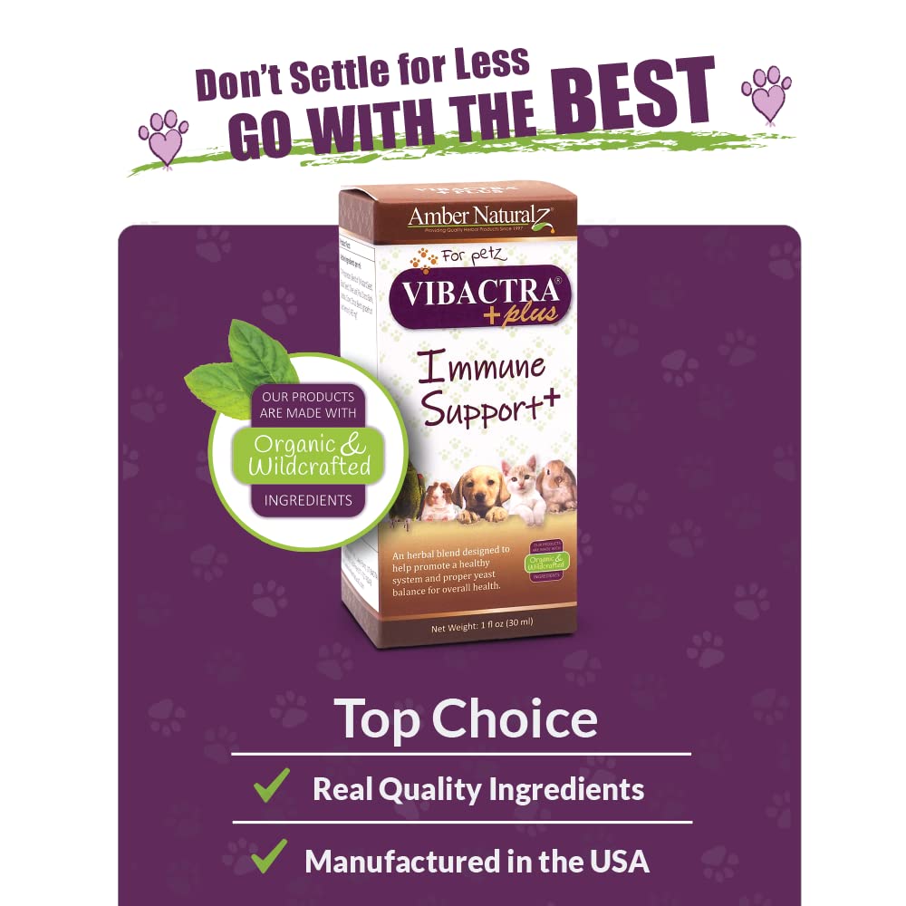 AMBER NATURALZ Vibactra Plus packaging demonstrates safe glass bottle with dropper for pets.