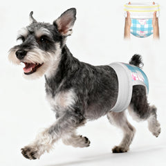 Ambreview Dog Diapers 360° fit demonstrates secure pull-on wear for comfortable dog movement